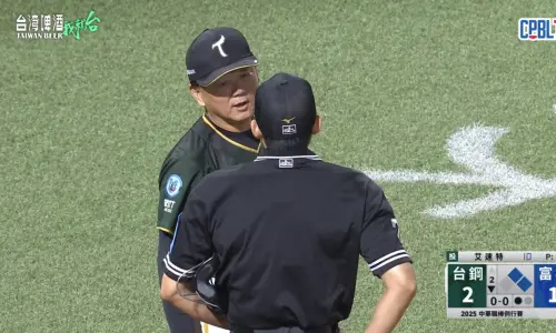 中職／陳愷佑閃球變妨礙打擊引發爭議！洪總無奈：不是真的在揮棒
