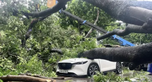 ▲劍魚颱風襲擊越南，官方證實已造成至少三人喪生，另有十人以上受傷。（圖／翻攝自越南快訊）