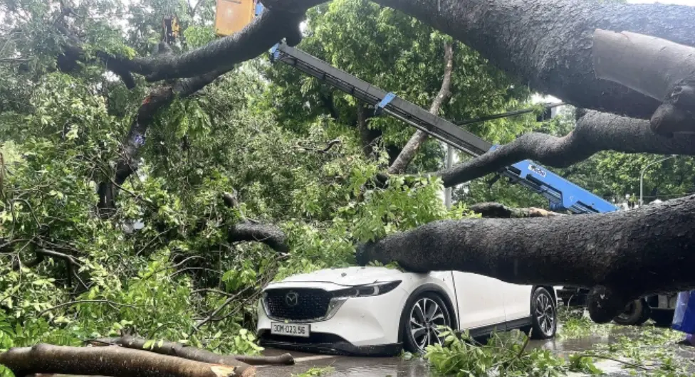 ▲劍魚颱風襲擊越南，官方證實已造成至少三人喪生，另有十人以上受傷。（圖／翻攝自越南快訊）