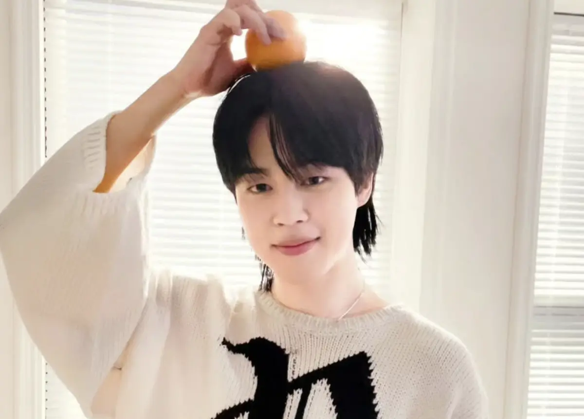 快訊／BTS JIMIN認愛宋多恩！BIGHIT鬆口了：兩人曾抱好感交往