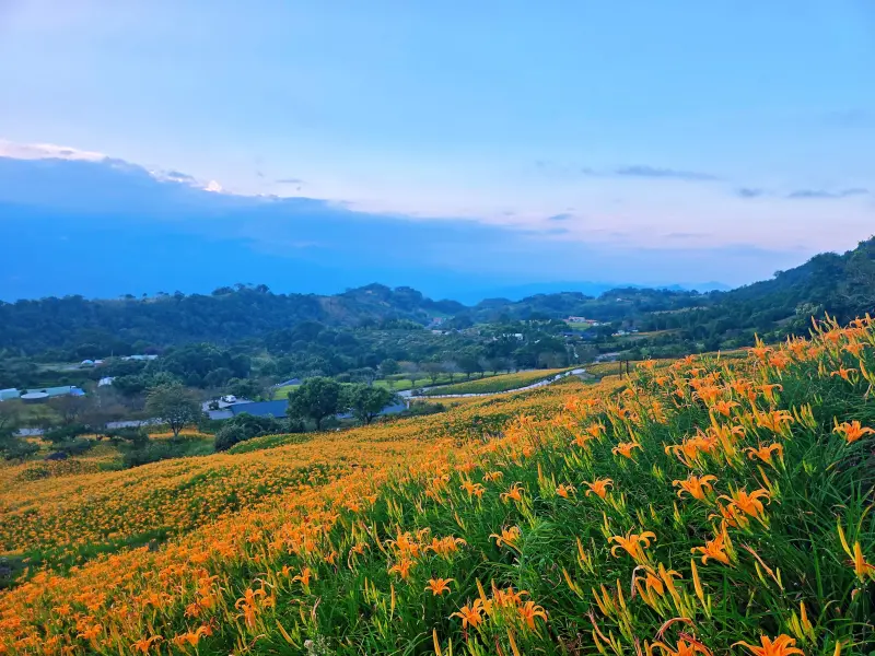▲Blue GIS以潔淨空氣（Clean Air）科技，用無毒、不可燃氣體，協助推動電網基礎設施邁向綠色永續的升級。（圖／金針花協會提供）