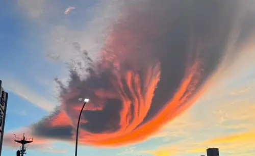 ▲（圖／翻攝林口大家庭臉書）