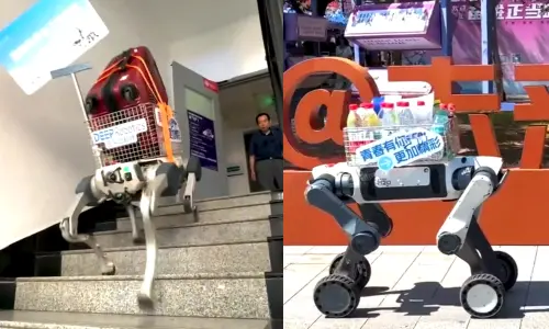 ▲中國浙江大學紫金港校區近日新生報到，學校出動一批「機器狗」迎接新生，協助學生搬運行李、運送飲料，還會與學生互動表演、撒嬌賣萌。（圖／翻攝自微博）