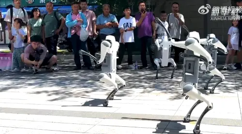 ▲中國浙江大學紫金港校區近日新生報到，學校出動一批「機器狗」迎接新生，協助學生搬運行李、運送飲料，還會與學生互動表演、撒嬌賣萌。（圖／翻攝自微博）