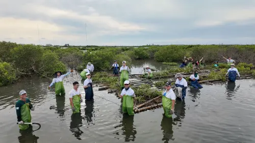 ▲茂正保留27公頃水鳥觀察區建置生態浮島，主結構由孟宗竹、椰纖毯及龜殼網等天然材料搭設載體主結構，並在竹縫間塞入泥炭苔建造浮島，同時就地取材植栽原生植物，創造多層次的生態環境。（圖／星耀能源提供）