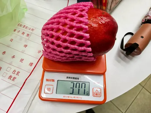 ▲屏東芒果檢出殺菌劑。（圖／北市衛生局）