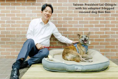 台灣總統賴清德登上菲律賓動保組織！獲讚「同理心是真正領導力」
