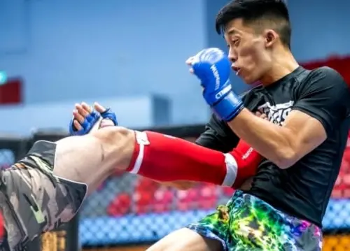 ▲全台最大規模的綜合格鬥賽事 「WOTD-ETD 13」 即將登場。(圖/綜合格鬥提供)