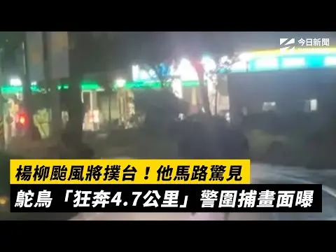 楊柳颱風將撲台！他馬路驚見鴕鳥「狂奔4.7公里」 警圍捕畫面曝｜NOWNEWS #cc字幕