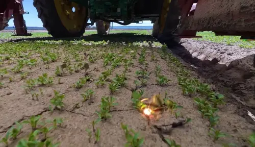 小草除盡！美雷射除草機搭載輝達晶片提升效率　每分鐘滅萬株雜草
