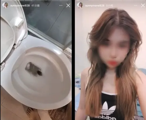 泰國女狠將10倉鼠沖馬桶原因曝光　台籍男友報案害她被捕
