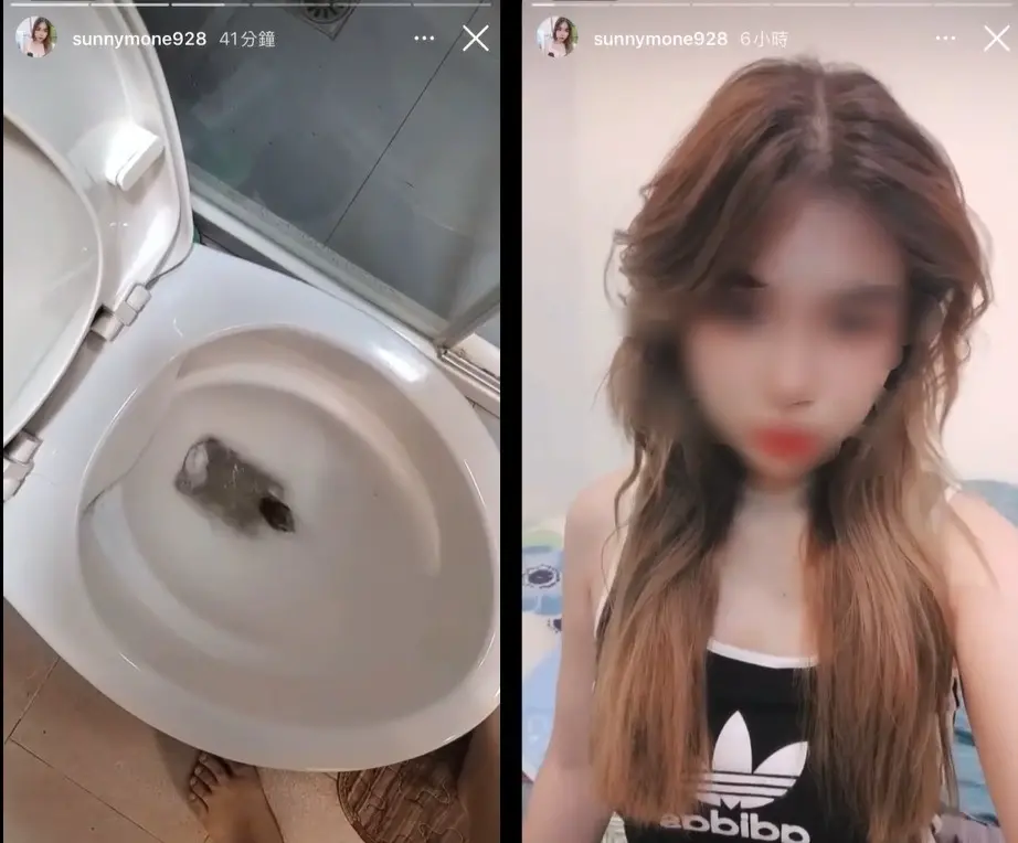 ▲狠心將倉鼠一隻隻丟入馬桶沖走的泰籍女，上週和台籍男友吵架後，已經被移民署收容。（圖／翻攝自@taifang0516 Threads）