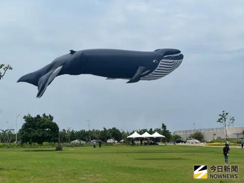 ▲「箏箏日上」藉由施放30公尺大鯨魚風箏，象徵大安人丁興旺、觀光產業蒸蒸日上。（圖／記者金武鳳攝，2025.9.1)
