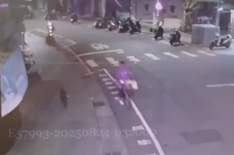 ▲監視器拍下胡男牽著黑狗走過淡水老街畫面，黑狗Michael被帶往北市濱江公園吊虐，最後被竟被殘忍棄屍基隆河。（圖／翻攝畫面）