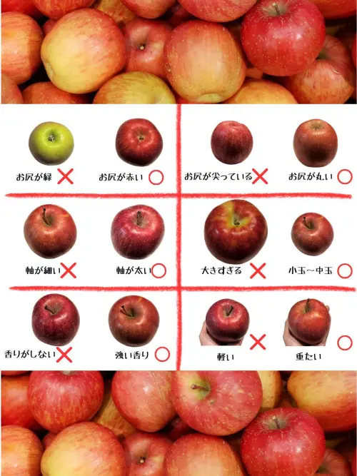 ▲蘋果挑選秘訣（圖／翻攝自X@tetsublogorg）