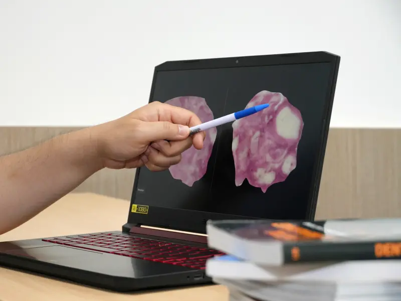 ▲軟糖實驗中，咀嚼能力佳的受試者可以將雙色軟糖咀嚼得較均勻。（圖／陽明交通大學提供）