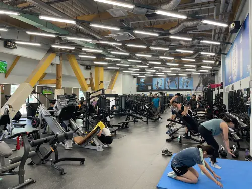 9月9日國民體育日懶人包！　台北市12座運動中心健身房、泳池免費
