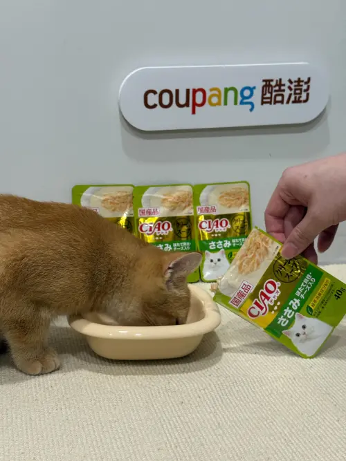 ▲Coupang酷澎帶動犬貓濕糧在2025年上半年成為品類新秀
