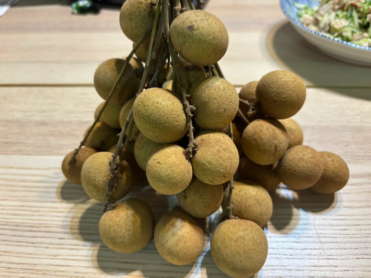 ▲今天是農曆七月十五中元節，通常要普渡，有不少水果其實並不適合擺上供桌，像是香蕉、李子、梨子，以及鳳梨、榴槤等，而現在正值龍眼盛產，龍眼能不能拿來拜？引起討論。（圖／記者徐銘穗攝）