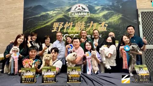 稀有虎貓和捲⽑貓現⾝「野性魅⼒盃」貓展
