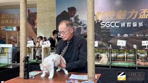 ▲野性魅⼒盃SGCC國際貓展邀請到專業國際評審。（圖／記者陳美嘉攝，2025.09.06）