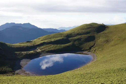 ▲（圖／取自林保署台東分署forest.gov.tw）