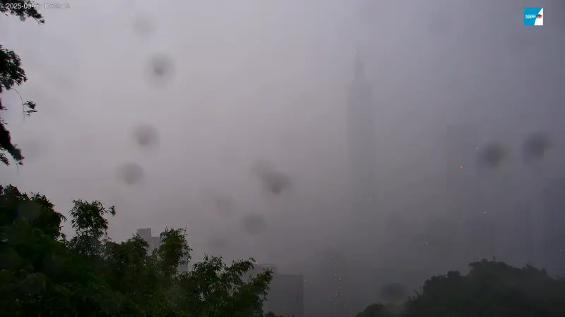 ▲台北101所在的信義區也降下大雷雨，直播鏡頭相當模糊（圖／翻攝台北觀光即時影像 ）