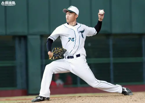 林智勝引退／許育銘是誰？台鋼牛棚大將　竟成305轟苦主歷史留名
