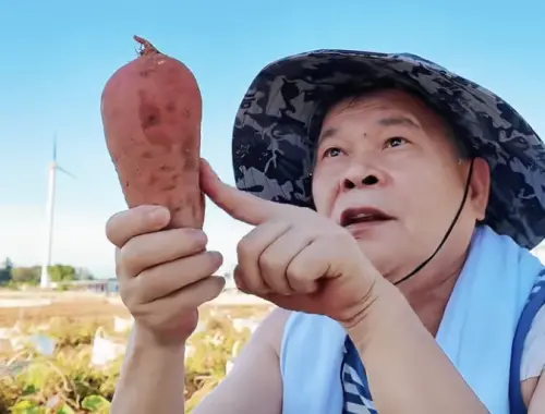 ▲澎恰恰將重心轉向中國直播，靠帶貨賣商品還債。（圖／翻攝自抖音澎恰恰）