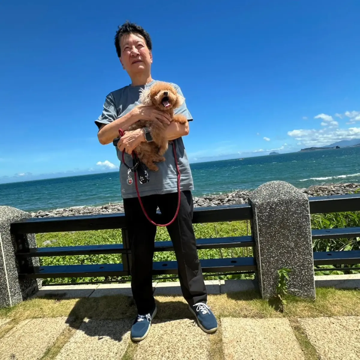 ▲前中廣董事長、戰鬥藍領袖趙少康日前出遊北海岸並發文讚嘆：「我那小小多山的國家」。（圖／取自趙少康臉書）