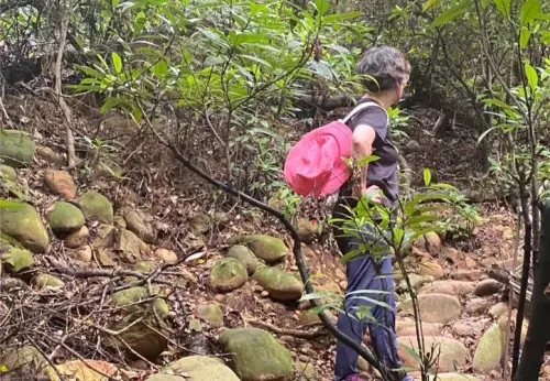 奉勸檢方莫抗告！蔡壁如不擔心2個太陽：民眾黨應多栽培政治明星
