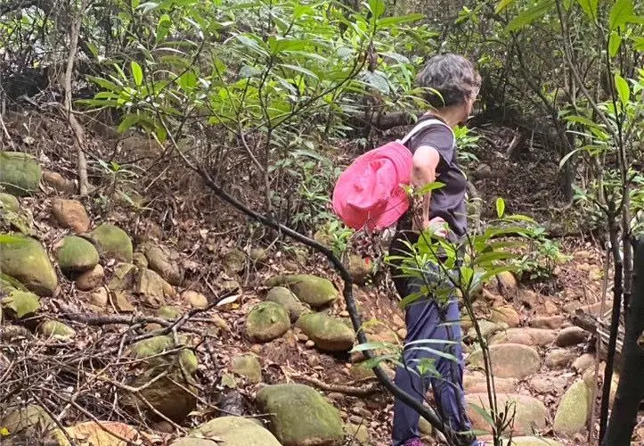 ▲蔡壁如昨天在臉書分享登山活動。（圖／翻攝蔡壁如臉書，2025.09.08）