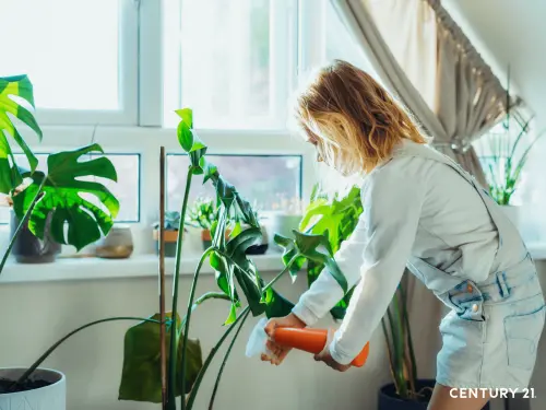 ▲不用狂開冷氣！專家教3招讓家中有感降溫。（圖／21世紀不動產提供）