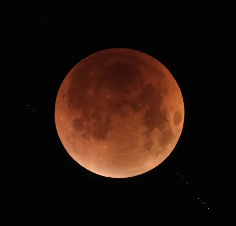 ▲南瀛天文館於7日晚間，在館前廣場舉辦實體觀測月全食活動，架設多台望遠鏡供民眾觀賞，吸引超過千人親臨現場。（圖／南瀛天文館）