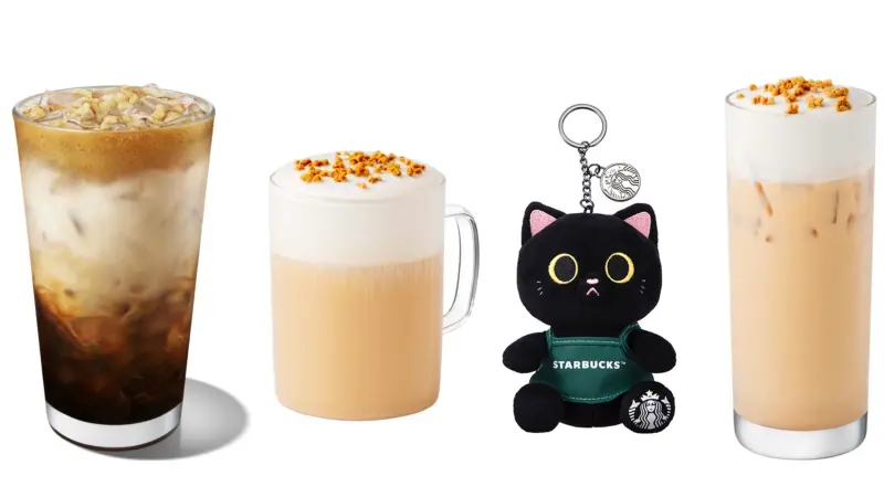 ▲今全台門市「星巴克買一送一」好友分享日，foodpanda外送也有半價咖啡優惠，輸入優惠碼「週二星享日」再折70元；全新周邊商品「綠圍裙黑貓」馬克杯、瓷盤、吊飾及收納娃包開搶。摩斯漢堡大杯咖啡35元買法。（圖／星巴克提供）