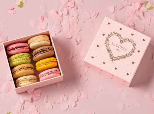 法國馬卡龍品牌LADURÉE將再度來台！要排3小時才買到　新店址曝光
