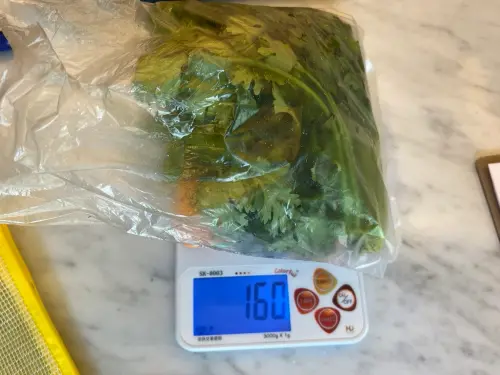 ▲北市衛生局114年7月針對超市、市場抽驗51件蔬果產品，檢驗結果16件產品不符規定。圖為違規農藥超標香菜。（圖／北市衛生局）