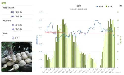 ▲每年5到10月是蓮藕產季，本周蓮藕價格便宜了，每台斤批發價23.9元，低於全年平均成交價。（圖／當季好蔬果網站）