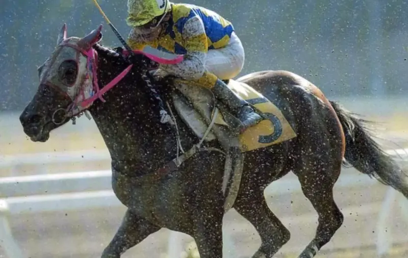 日本傳奇賽馬「春麗」離世！生涯113連敗沒贏過　粉絲卻遍布全球