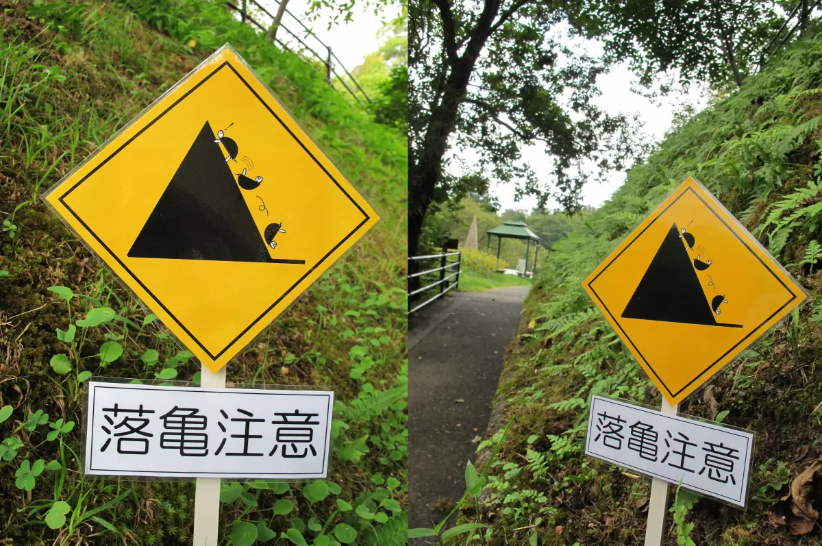 ▲日本廣島市植物公園出現落龜注意告示牌，引發討論。（圖／翻攝自Ｘ）