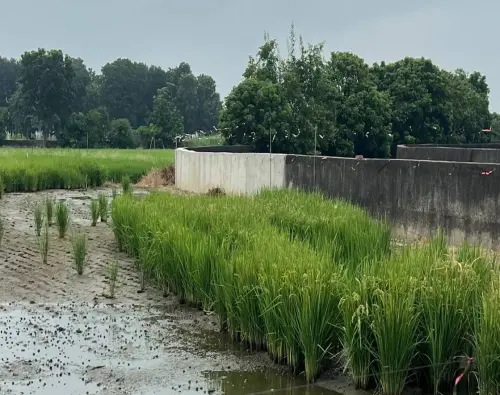 ▲ 爲因應極端氣候超出保護標準之強降雨，市府已投入 460萬元發包排水結構補強工程，目前進度已達7成，預計於今（114）年年底完工，保護排水沿線居民生命財產安全。（圖／南市府提供）