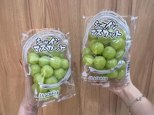 ▲全聯日本麝香葡萄為「秀」等級，總計1萬4000盒於全台超過470間限定門市銷售。