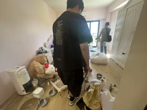 ▲非法繁殖品種貓的繁殖場，現場環境惡劣，警方先前還發現有貓咪死亡。（圖／新竹縣動物保護）