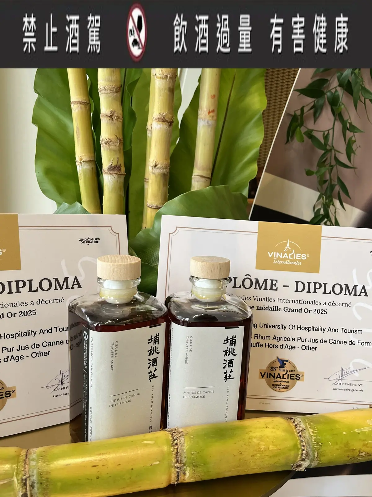 ▲台糖推動「甘蔗多元高值利用」子計畫，以新鮮本土甘蔗汁為原料，經低溫醱酵、橡木桶熟成等工序，釀製出純蔗汁風土農藝蘭姆酒，完整保留熱帶果香及蔗蜜韻味，忠實呈現台灣風土之美。（圖／台糖提供）