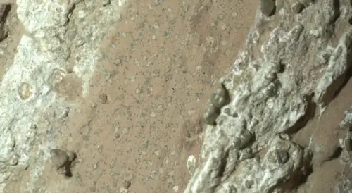 ▲火星岩石上分布宛如豹紋般的斑點。（圖／翻攝自NASA）