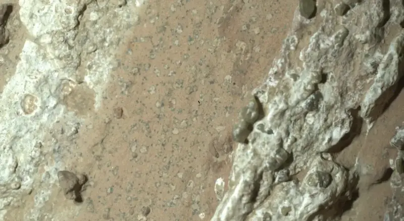    ▲火星岩石上分布宛如豹紋般的斑點。（圖／翻攝自NASA）  