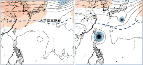 ▲最新歐洲模式（左圖），與美國模式（右圖）時模擬圖顯示，「太平洋高壓」強度呈現分歧，「熱帶擾動」的發展及動向亦完全不同。（圖／氣象應用推廣基金會．洩天機教室專欄）