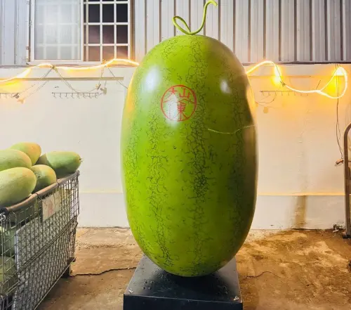 ▲這顆大西瓜其實是苗栗水果行訂製的裝置藝術，未來將成為水果行的鎮店之寶。（圖／大山陳水果批發零售臉書）