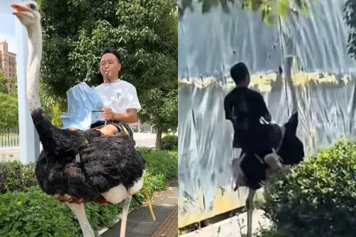 ▲（圖／翻攝自瀟湘晨報）