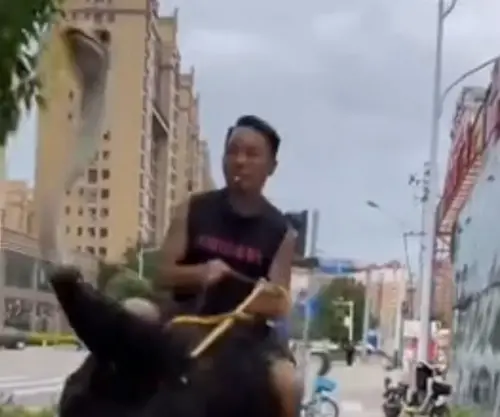 ▲（圖／翻攝微博）